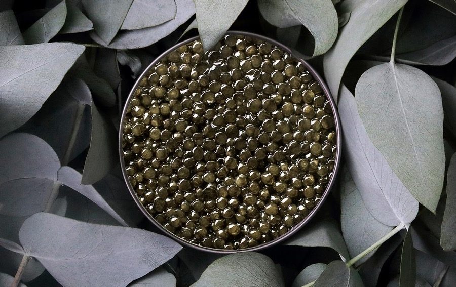Caviar Rova